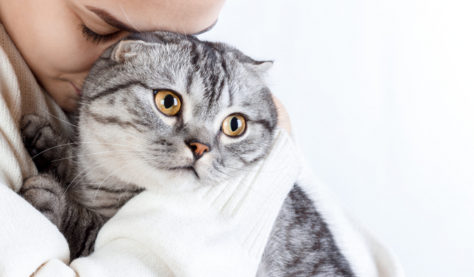 Why Cats Are More Social Than You Think?